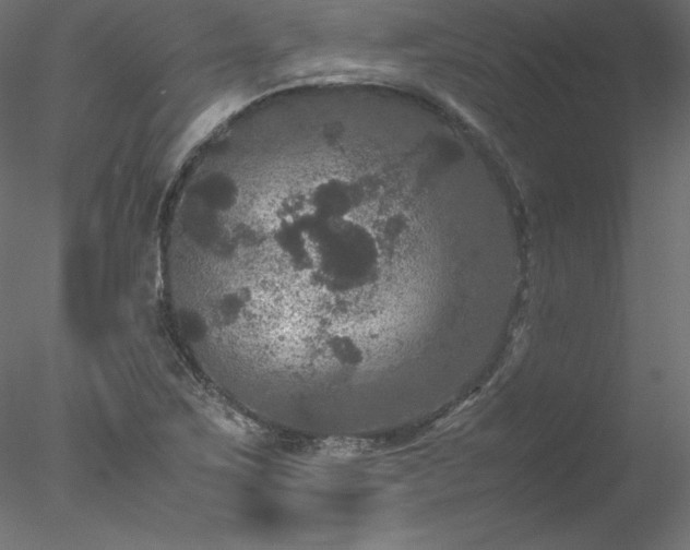 X0000078021267200611031447