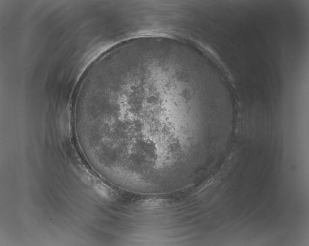 X0000078021268200611031447