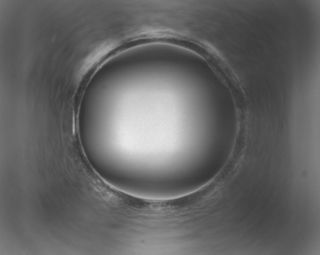 X0000078021269200611031447