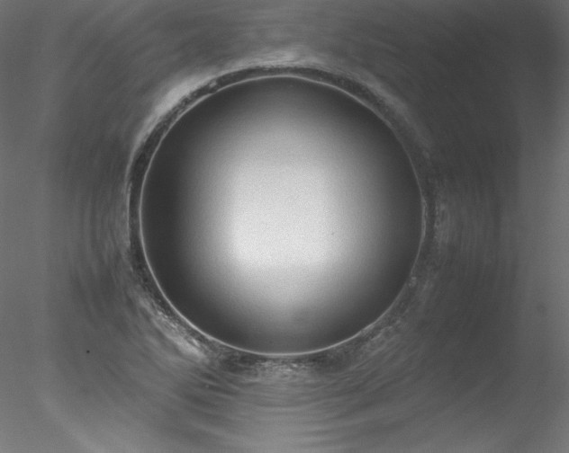 X0000078021270200611031447