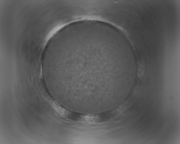 X0000078021271200611031447