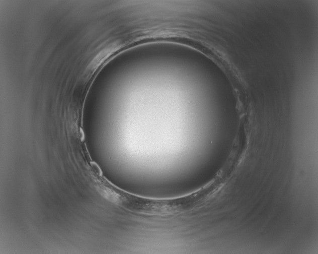 X0000078021273200611031447