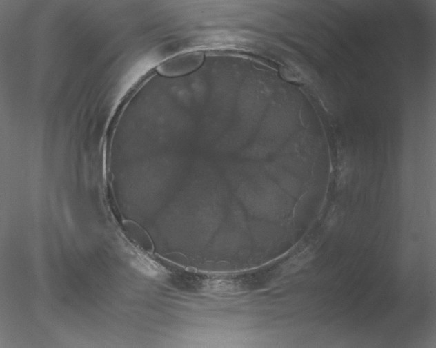 X0000078021275200611031447