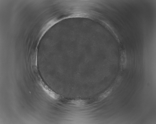 X0000078021276200611031447