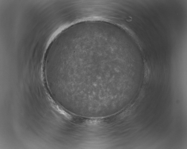 X0000078021278200611031446