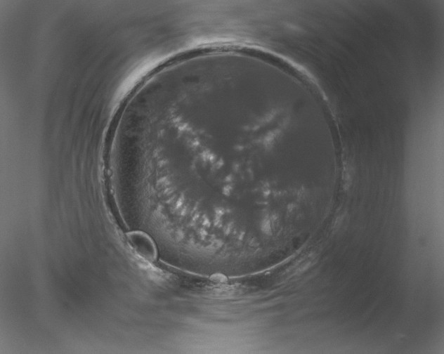 X0000078021279200611031446