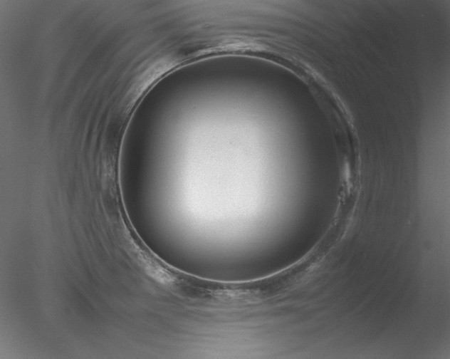 X0000078021281200611031446