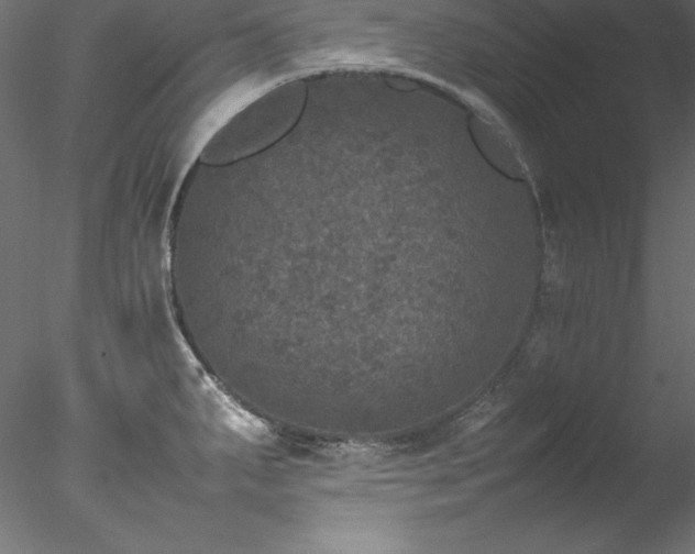 X0000078021287200611031446