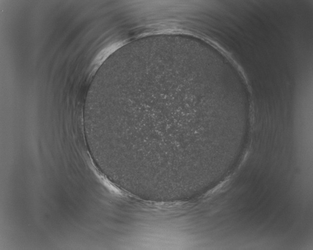 X0000078021289200611031446