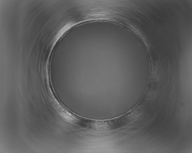 X0000078021291200611031446