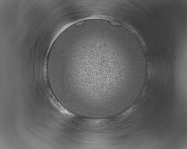 X0000078021292200611031446