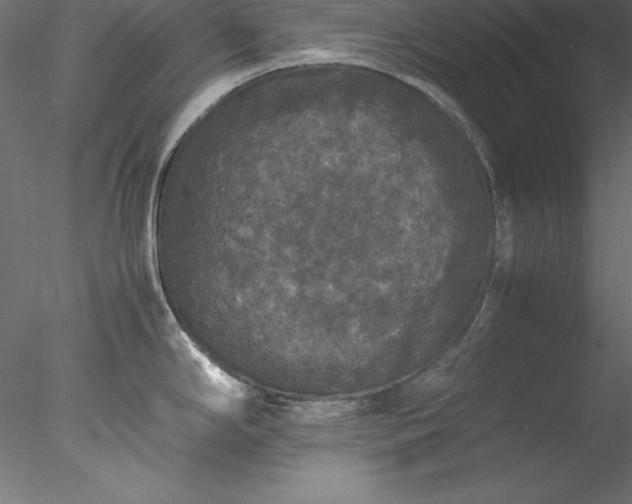 X0000078021294200611031446