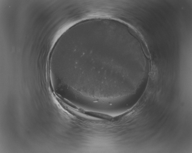 X0000078021295200611031446