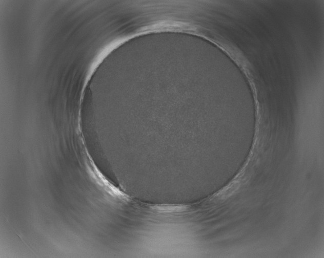 X0000078021296200611031446