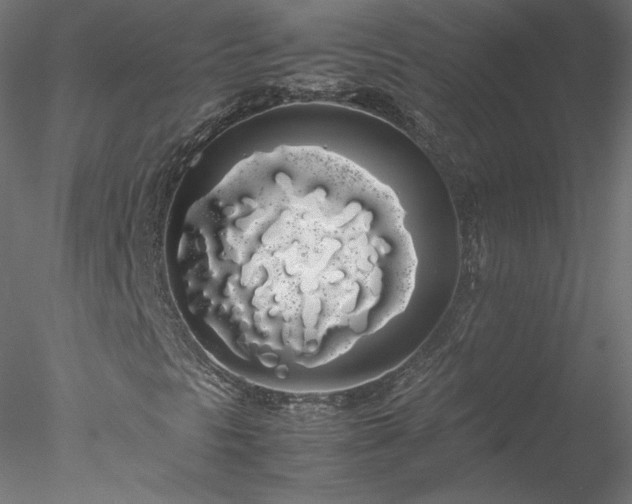 X0000078021297200611031445