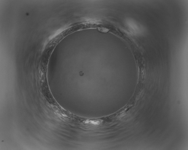 X0000078021303200611031445