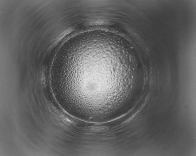 X0000078021305200611031446