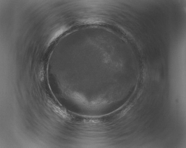 X0000078021306200611031446