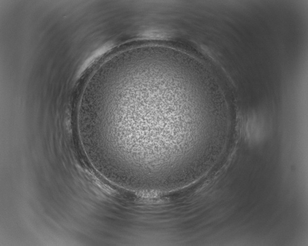 X0000078021307200611031446