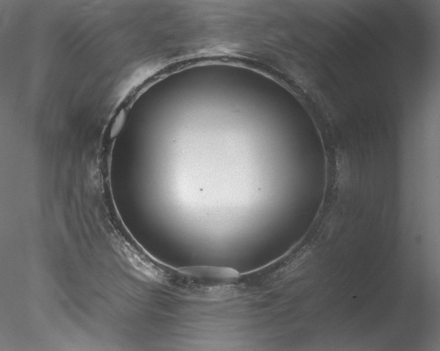 X0000078021308200611031446