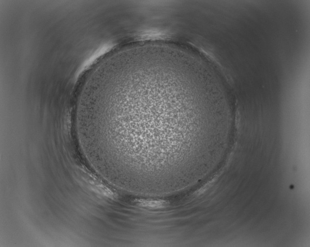 X0000078021309200611031446