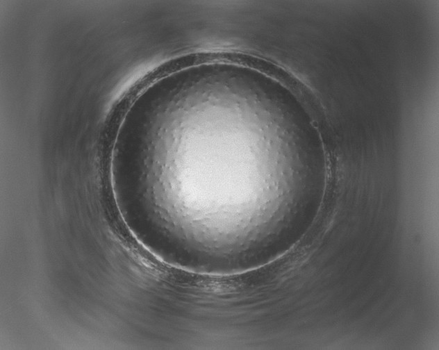 X0000078021311200611031446