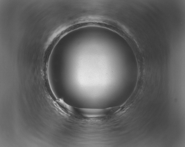 X0000078021312200611031446