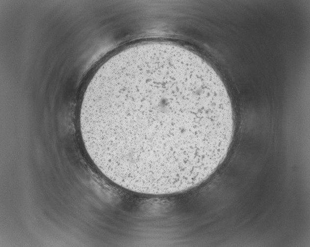 X0000078021314200611031446