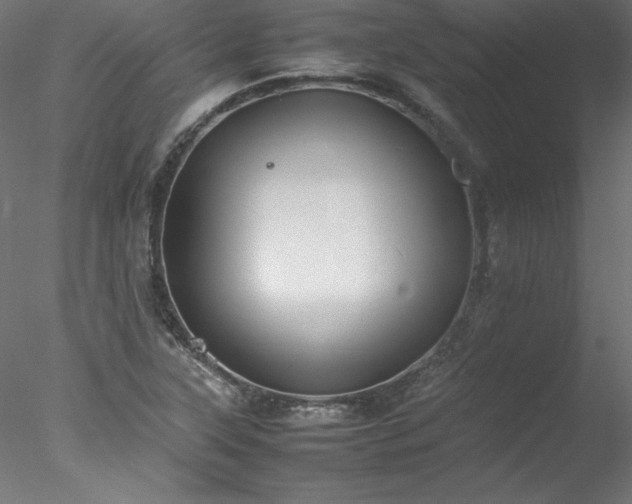 X0000078021315200611031446