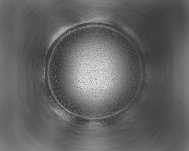 X0000078021316200611031446