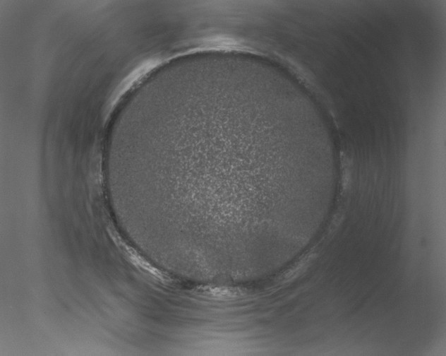 X0000078021318200611031446