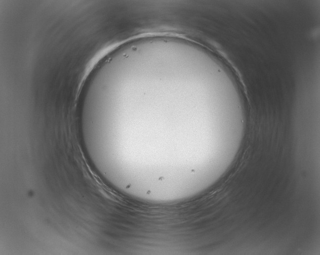 X0000078021320200611031446