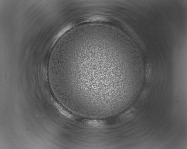 X0000078021321200611031446