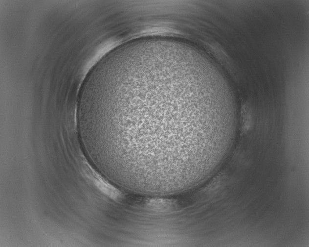 X0000078021322200611031446