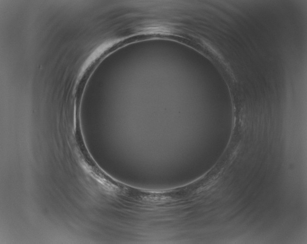 X0000078021323200611031446