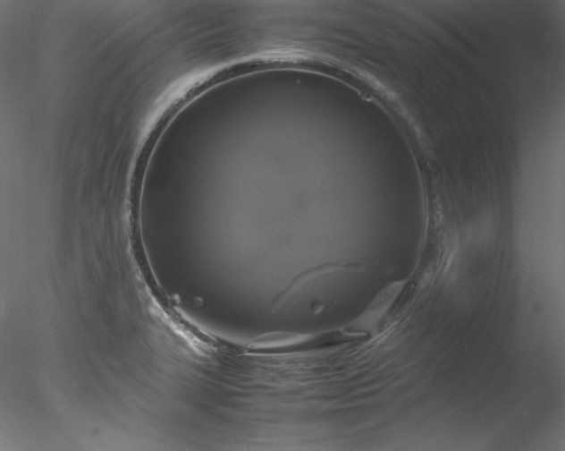 X0000078021327200611031446