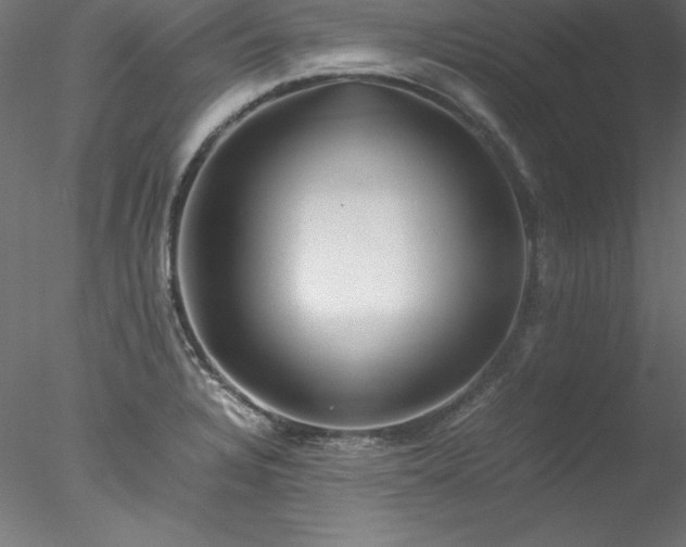 X0000078021328200611031446