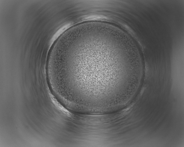 X0000078021330200611031446