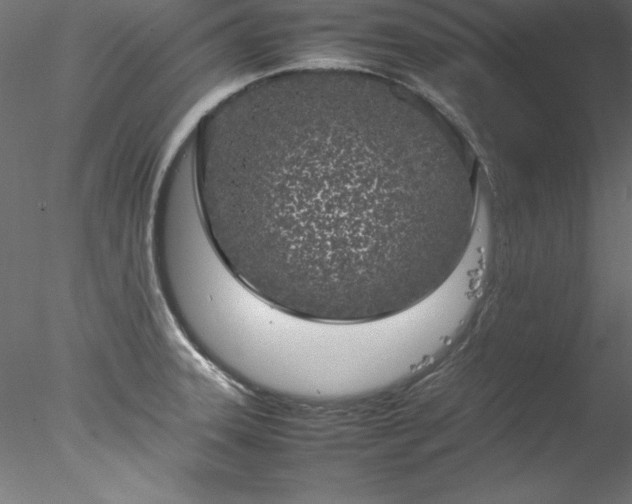 X0000078021331200611031446