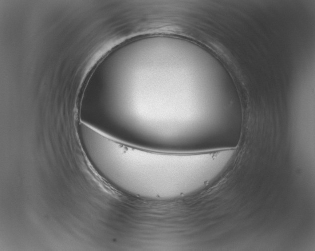 X0000078021332200611031446