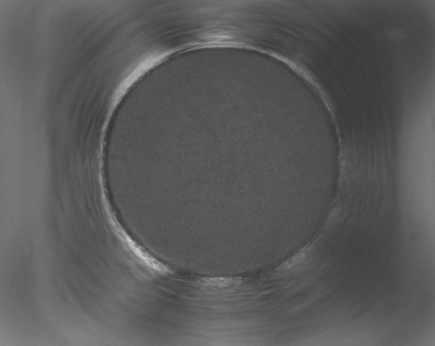 X0000078021333200611031446