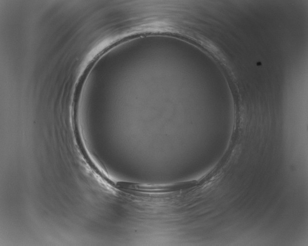 X0000078021334200611031446