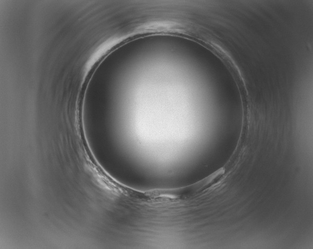 X0000078021336200611031446