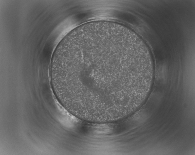 X0000078021338200611031446