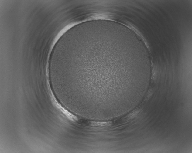 X0000078021339200611031446