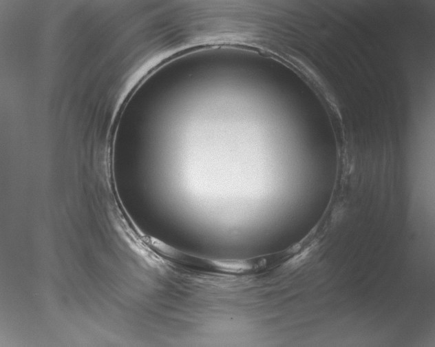 X0000078021340200611031446