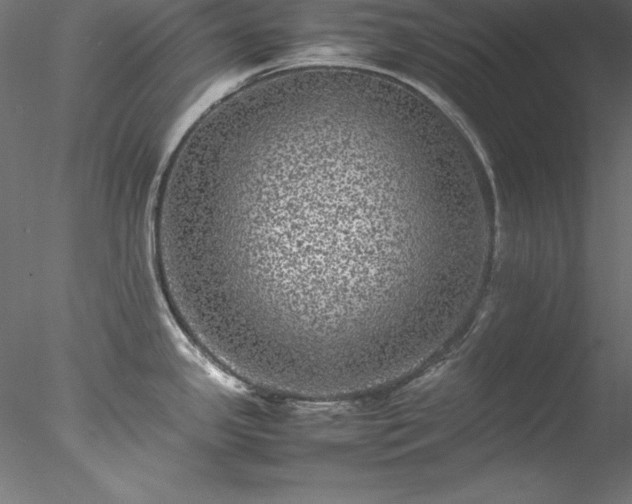 X0000078021341200611031446