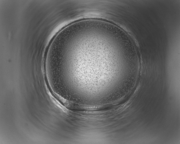 X0000078021342200611031446