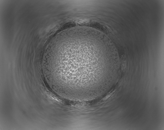 X0000078021345200611031445