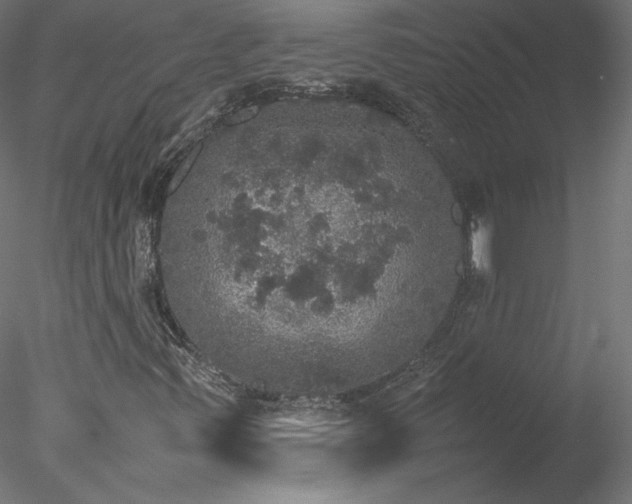 X0000078021347200611031445